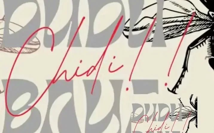 Audio | Dudu Baya - CHIDI (Diss Track)