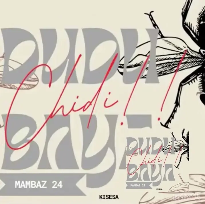 Audio | Dudu Baya - CHIDI (Diss Track)
