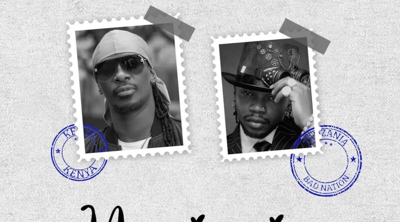 Audio | Nameless X Marioo - NASINZIA 2