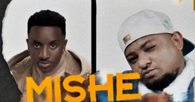 Centano ft Stamina - MISHEMISHE 2 | AUDIO
