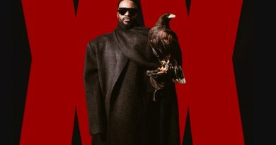 Fally Ipupa - Cinéma