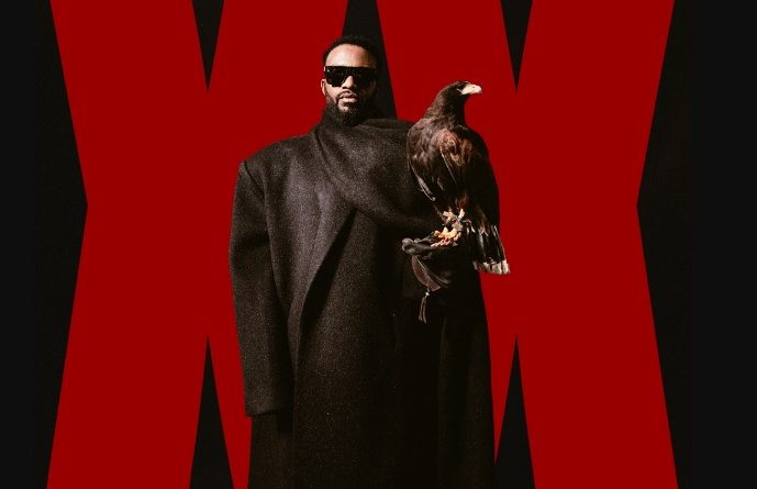 Fally Ipupa - Cinéma