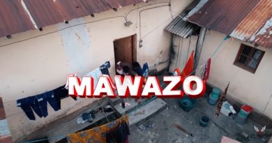 Nay Wa Mitego ft Raydiance – MAWAZO AUDIO