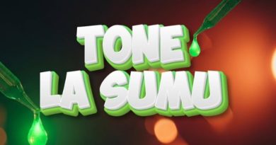 Twanga Pepeta - TONE LA SUMU | AUDIO