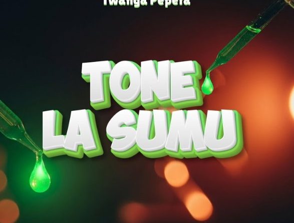 Twanga Pepeta - TONE LA SUMU | AUDIO