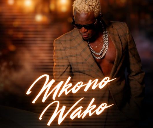 Willy Paul - MKONO WAKO VIDEO