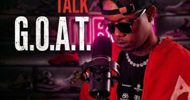 Salmin Swaggz – GOAT TALK pic