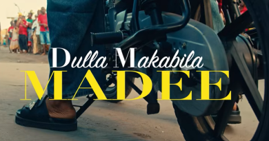 Dulla Makabila - MADEE pic