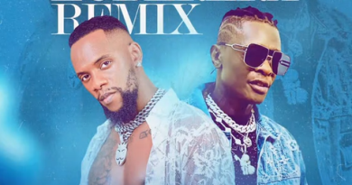 Jose Chameleone ft Dan VD - LUBERERA Remix pic