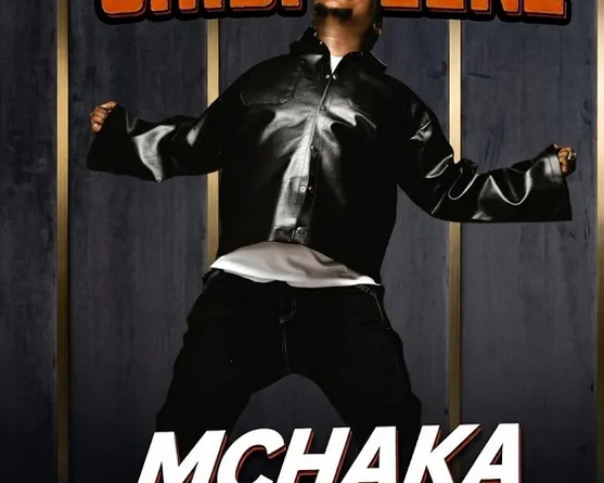 Chidi Beenz - MCHAKA MCHAKA pic