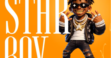 Ndende ft HardMad - STAR BOY PIC