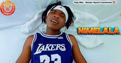 Dogo Sillah NIMELALA AUDIO image