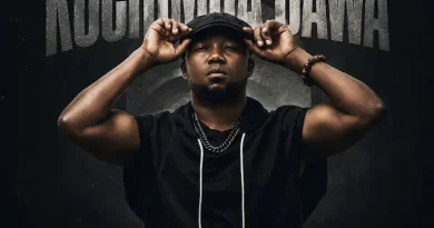 Hussein Machozi - KUCHIMBA DAWA image