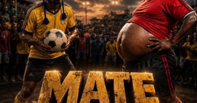 Ndaro – MATE MJI MZIMA image