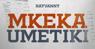 Rayvanny - MKEKA UMETIKI AUDIO