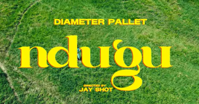 Diameter Pallet - NDUGU image