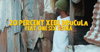 20 Percent,EBL Drucula ft One six,Tina - PAMBANA image
