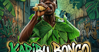 Harmorapa - KARIBU BONGO AUDIO IMAGE