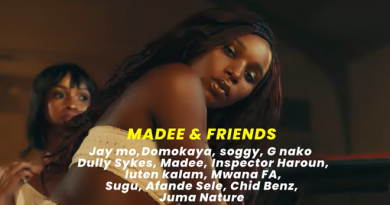 Madee ft Friends – DANGER AUDIO IMAGE