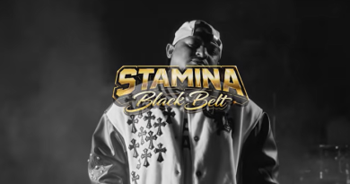 Stamina - BLACK BELT AUDIO