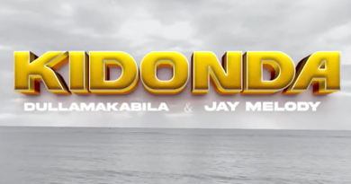 Dullamakabila ft Jay Melody - KIDONDA AUDIO image