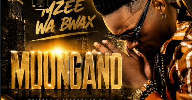 Mzee Wa Bwax - MUUNGANO AUDIO IMAGE