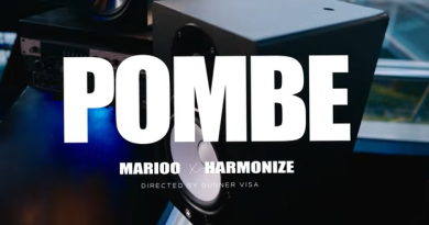 Marioo ft Harmonize - POMBE IMAGE