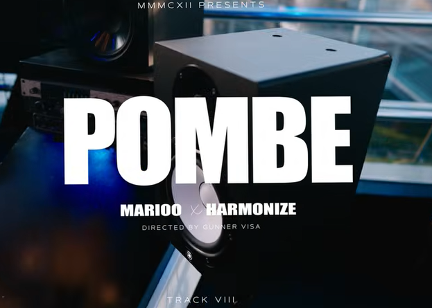 Marioo ft Harmonize - POMBE IMAGE