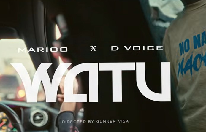 Marioo ft D Voice - WATU IMAGE