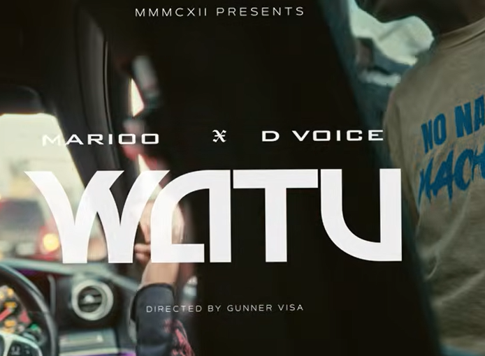 Marioo ft D Voice – WATU | AUDIO