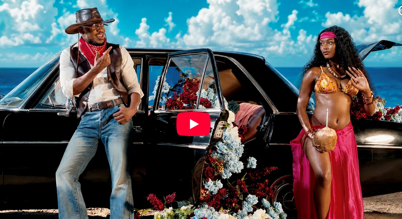 Alikiba ft Harmonize – UTANIONEA OFFICIAL VIDEO