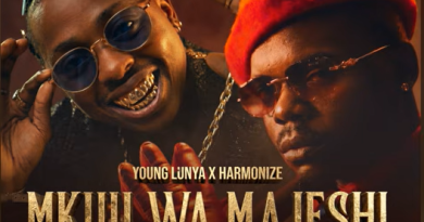 Young Lunya ft Harmonize - MKUU WA MAJESHI AUDIO