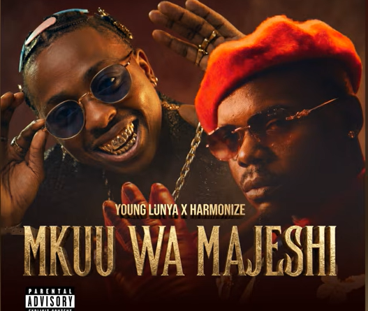 Young Lunya ft Harmonize - MKUU WA MAJESHI AUDIO