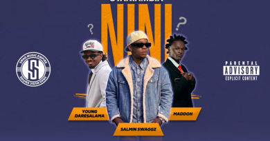 Salmin Swaggz ft Young Daresalama & Maddoh - UTANIAMBIA NINI