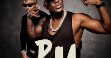 Willy Paul ft Otile Brown - PM