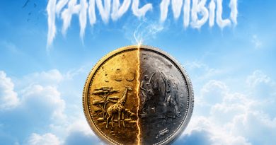 Dicazzi ft Country Wizzy - PANDE MBILI
