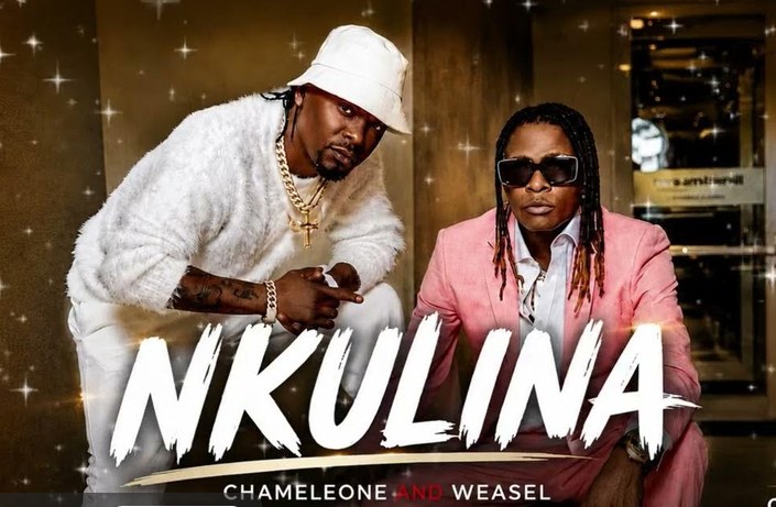 Weasel x Chameleone – NKULINA | AUDIO