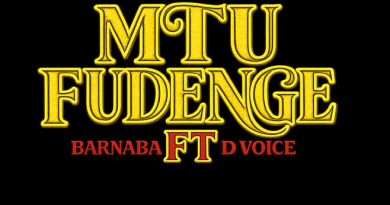 Barnaba ft D voice - MTU FUDENGE
