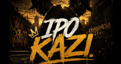 kaymapacha ft p mawenge - IPO KAZI