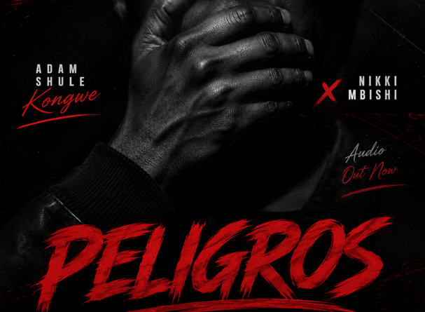 Adam Shule Kongwe ft Nikki Mbishi - PELIGROS