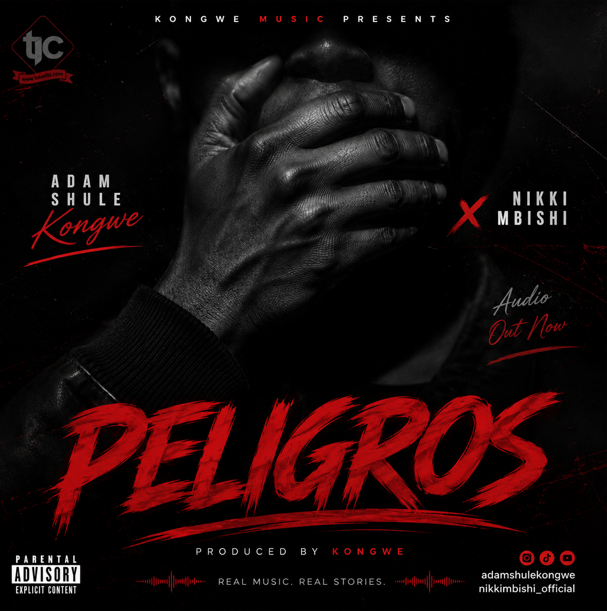 Adam Shule Kongwe ft Nikki Mbishi – PELIGROS | AUDIO