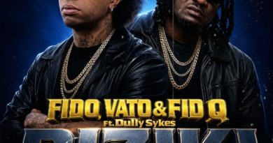 Fido Vato X Fid Q ft Dully Sykes - RIZIKI