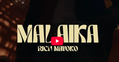 Rich Mavoko - MALAIKA VIDEO