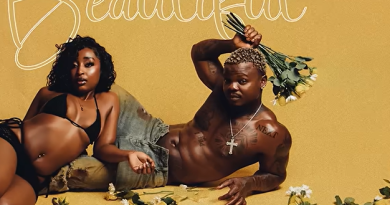 Harmonize - BEAUTIFUL
