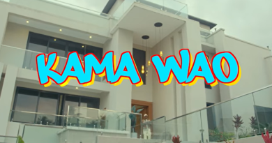 Inspector Haroun ft Country wizzy - KAMA WAO