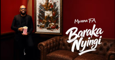 MwanaFA - BARAKA NYINGI