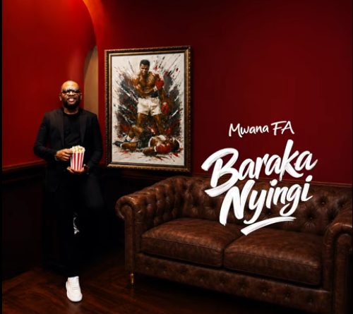 MwanaFA - BARAKA NYINGI