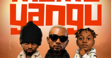 Billnass ft D Voice,Mzee Wa Bwax - MAMA YANGU