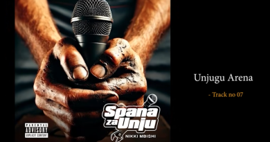 Nikki Mbishi - UNJUGU ARENA ft Cado Kitengo