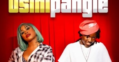 Form Seven ft Gigy Money - USINIPANGIE